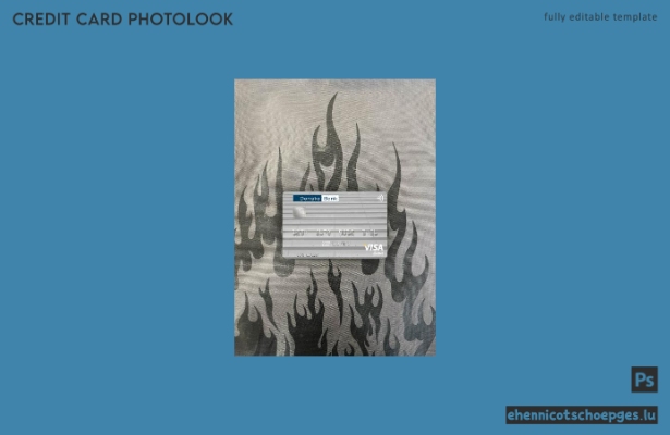 Fotoansicht der litauischen Danske Bank Visa Debitkarte